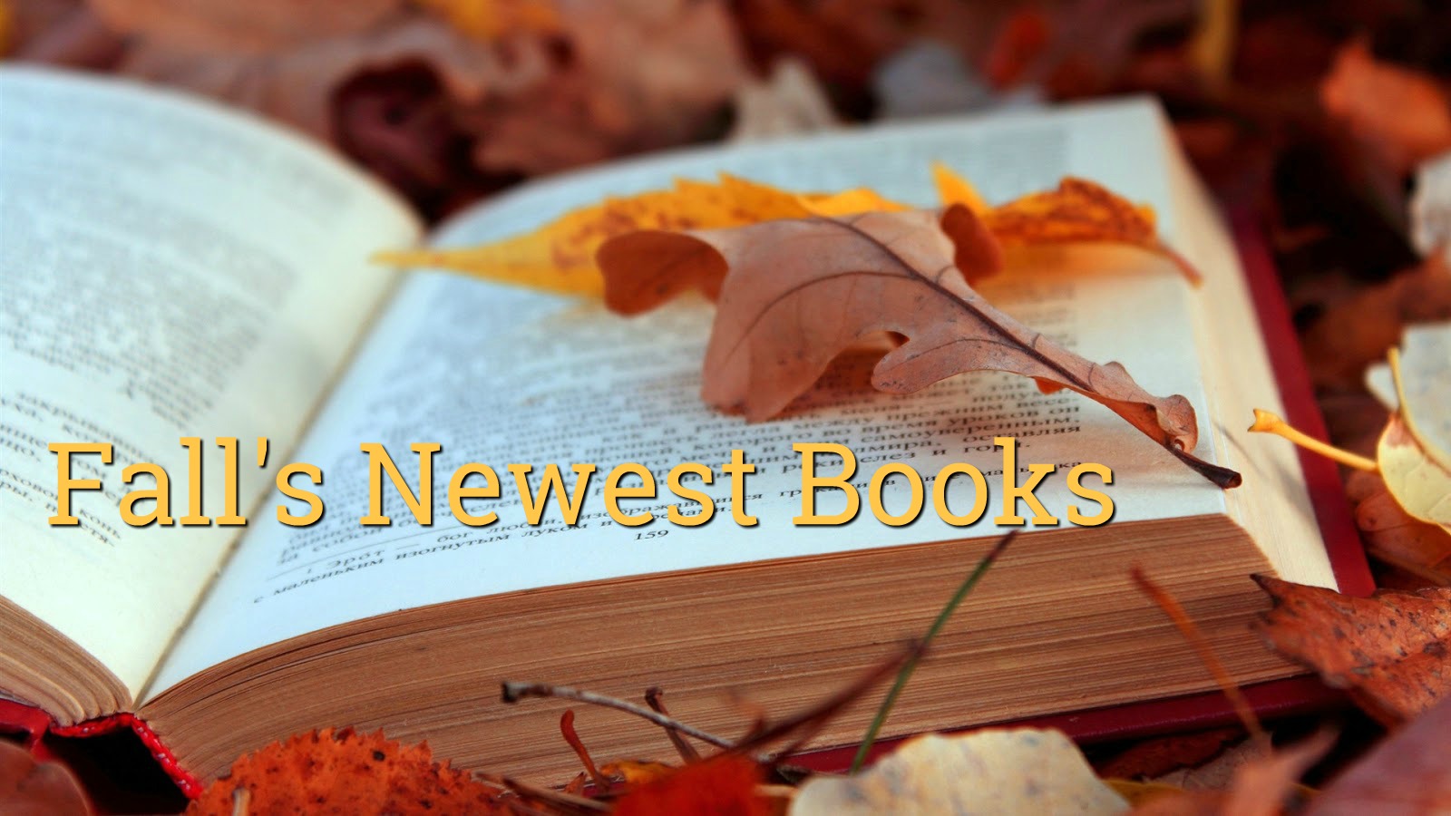 My Newest Book Recommendations for Fall- Fiction, Suspense, Cookbooks, and Inspirational Titles